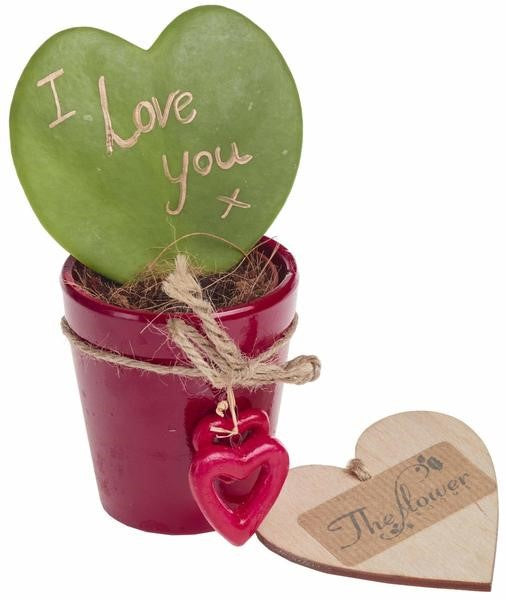 How to Stay Connected with People When Social Distancing