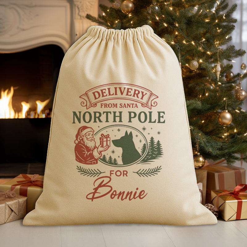 PERSONALISED Delivery From Santa - Christmas Dog Santa Sack