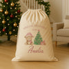 PERSONALISED Special Delivery For.. Pink Teddy - Christmas Santa Sack