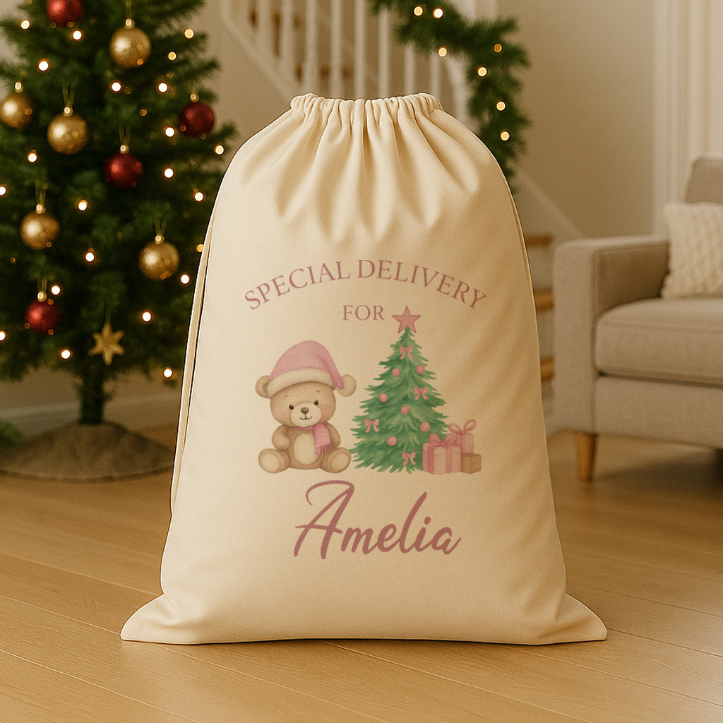 PERSONALISED Special Delivery For.. Pink Teddy - Christmas Santa Sack