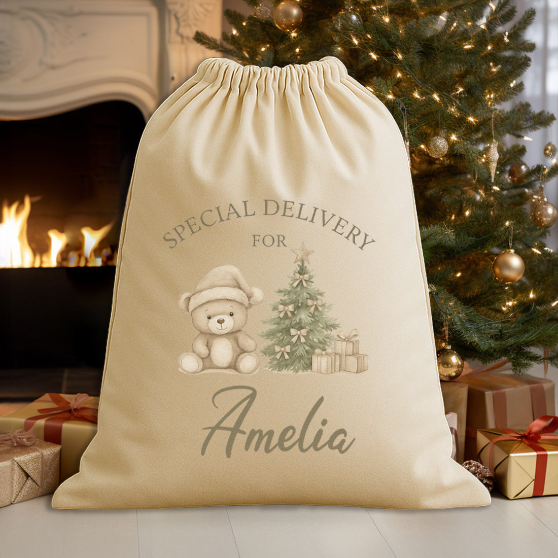 PERSONALISED Special Delivery For.. Teddy - Christmas Santa Sack
