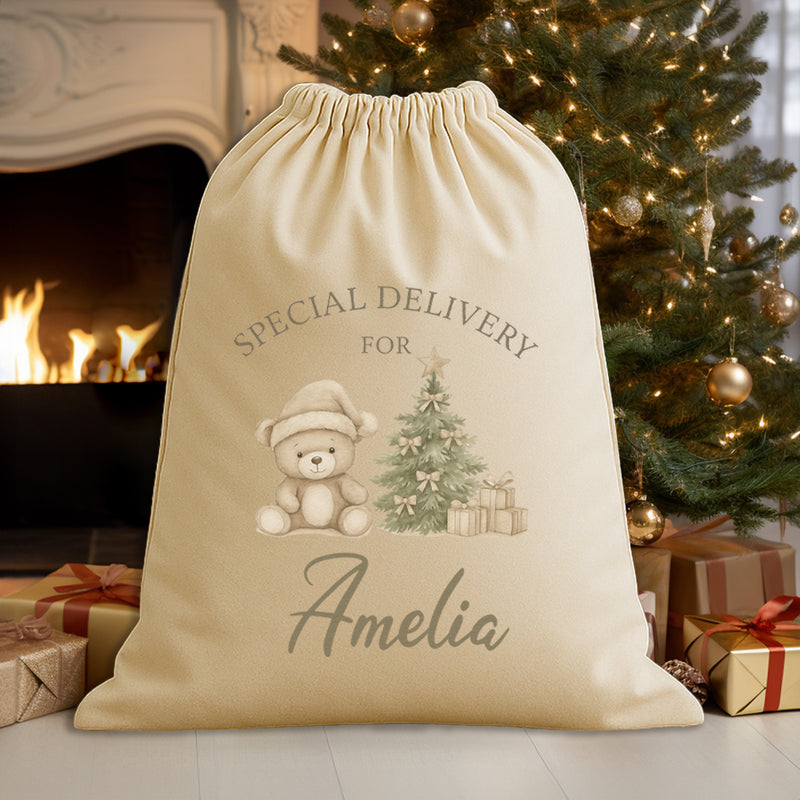 PERSONALISED Special Delivery For.. Teddy - Christmas Santa Sack