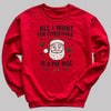 All I Want For Christmas Is A Pay Rise - Christmas Jumper Sweatshirt - All Sizes