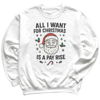 All I Want For Christmas Is A Pay Rise - Christmas Jumper Sweatshirt - All Sizes