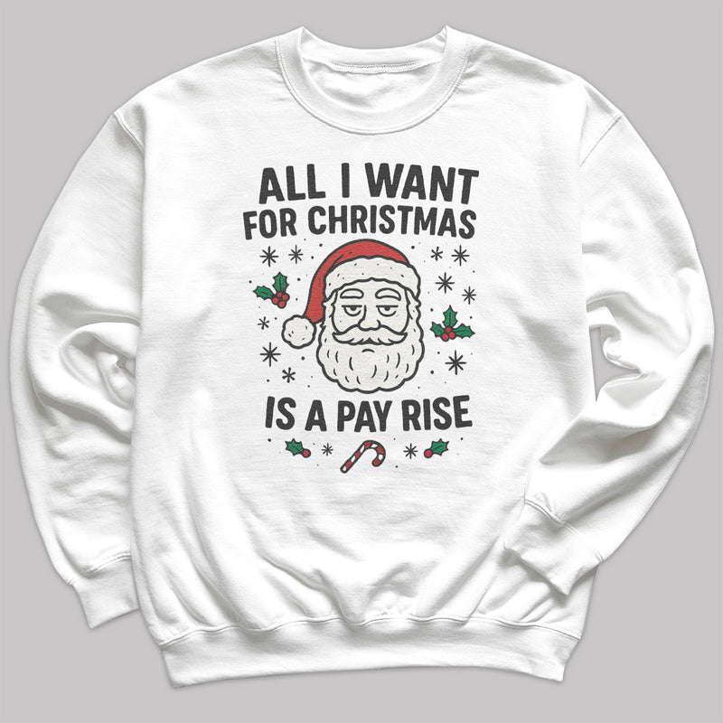 All I Want For Christmas Is A Pay Rise - Christmas Jumper Sweatshirt - All Sizes