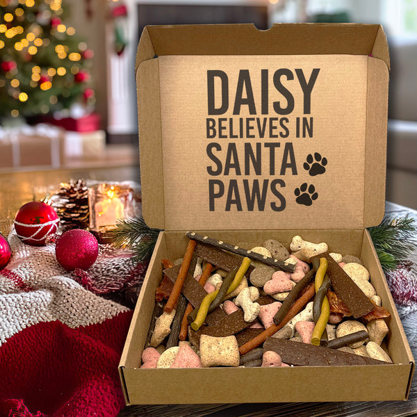 Personalisierter Name „Glaubt an Santa Paws“ Weihnachts-Leckerli-Box – Weihnachts-Leckerli-Box für Hunde