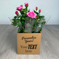 PERSONALISED Miniture Rose Plant with Box - Create Your Own Text Design