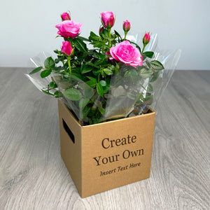 PERSONALISED Miniture Rose Plant with Box - Create Your Own Text Design