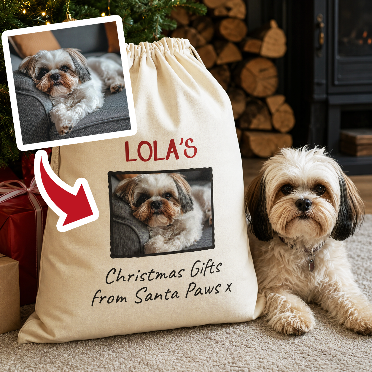 Personalised Photo & Name Christmas Gifts From Santa Paws - Christmas Santa Sack