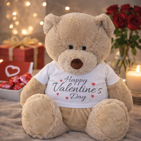 Happy Valentines Day - Teddy & Teddy T-Shirt Message
