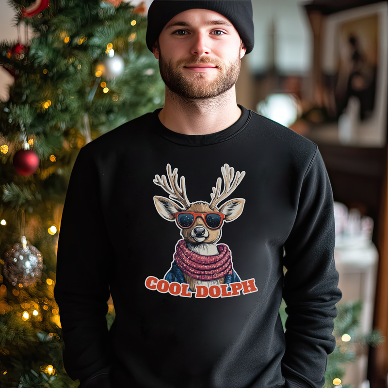 Cool Dolph Christmas Sweater Christmas Jumper Sweatshirt All Siz The Gift Project