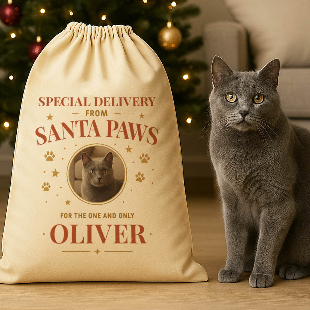 PERSONALISED Special Delivery From Santa Paws - Christmas Cat Santa Sack