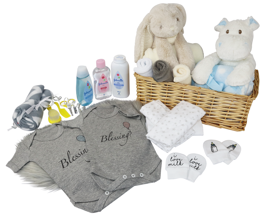 Beautiful New Baby Twins Hamper