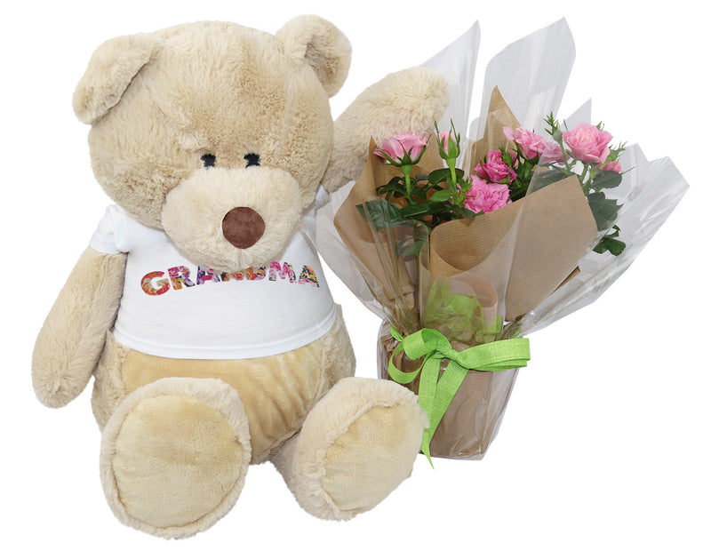 Grandma - Flower - Teddy Bear & Rose Plant Gift