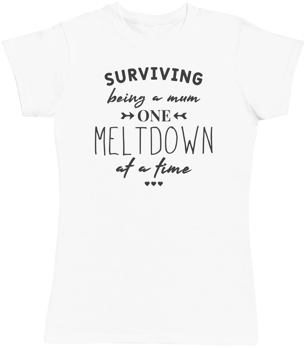 Surviving Meltdown - Womens T - Shirt (6571560960049)