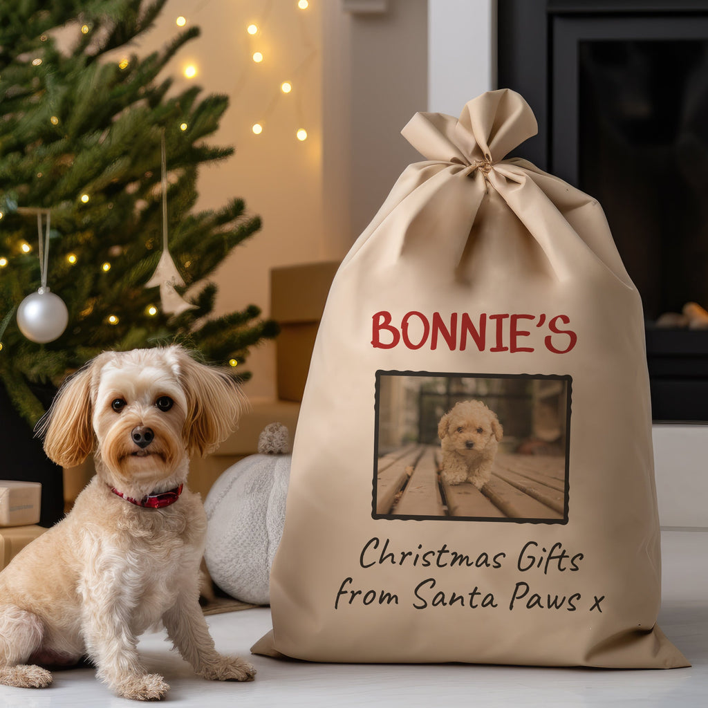 Personalised Photo & Name Christmas Gifts From Santa Paws - Christmas Santa Sack