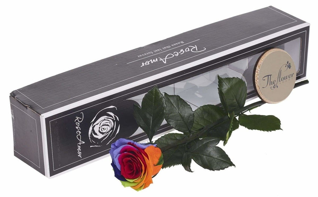 Forever Rose Rainbow - Preserved Rose Gift - The Gift Project