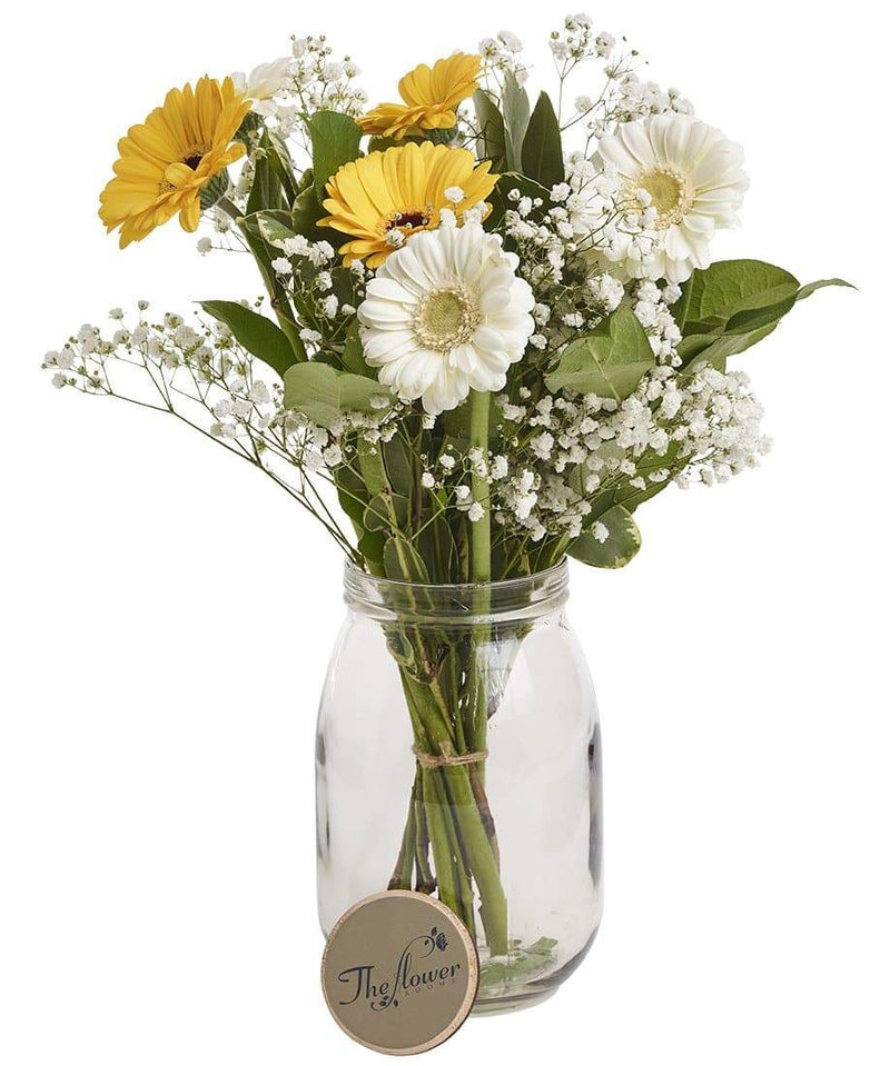 Gerbera and Gyp Classic Fresh Flower Bunch - The Gift Project